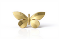 Butterfly brooch